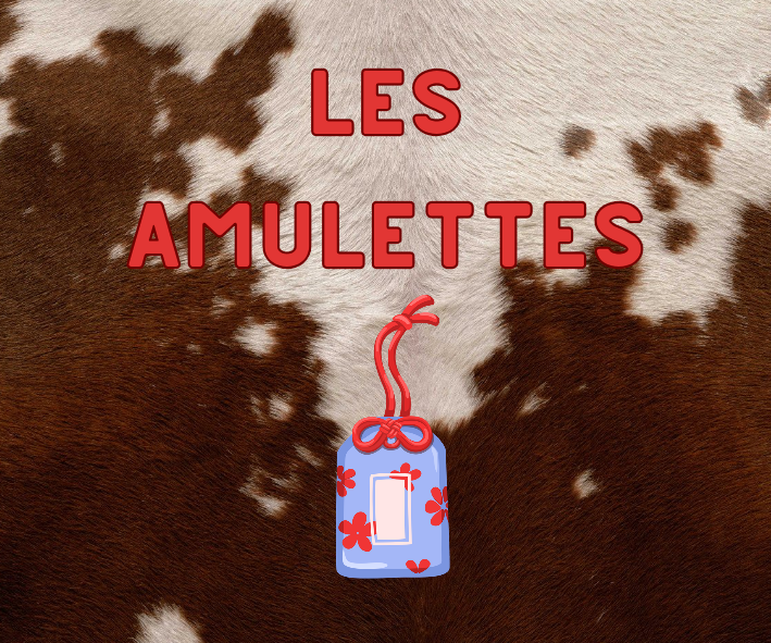 AMULETTES PORTE BONHEUR ET EXVOTOS