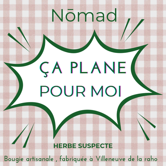 ÇA PLANE POUR MOI